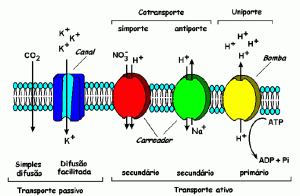 absorc2 - 3