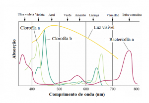 espectro