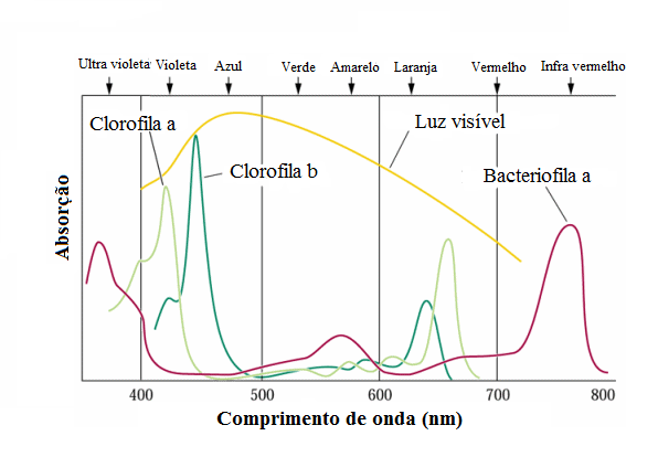 O que possui maior energia – um fóton de luz visível ou outr