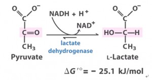 Fig2