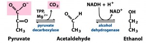 Fig3