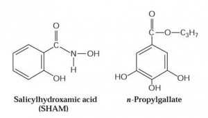 inibidores_oxidase