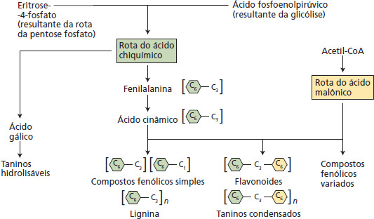 COMPOSTOS NITROGENADOS DO CAFÉ - Repositório Aberto da